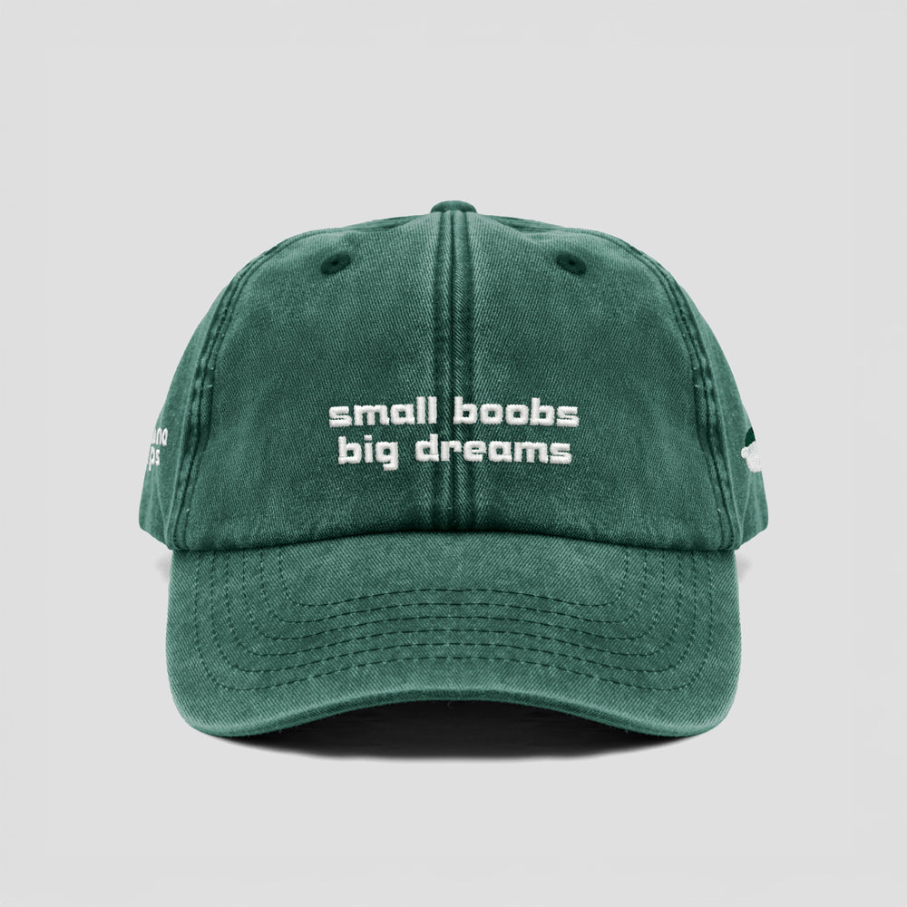 Cappellino vintage ''Small boobs big dreams''