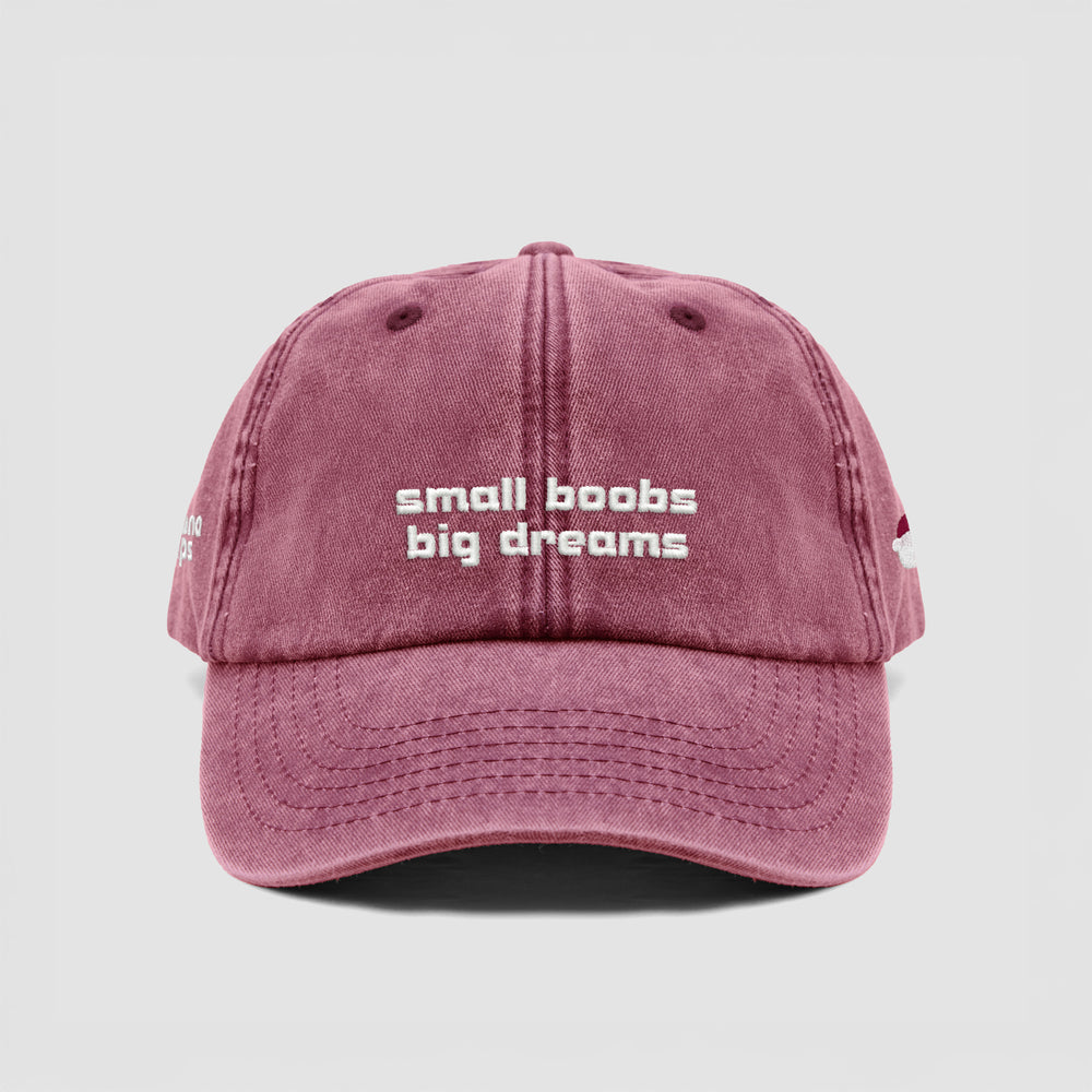 Cappellino vintage ''Small boobs big dreams''