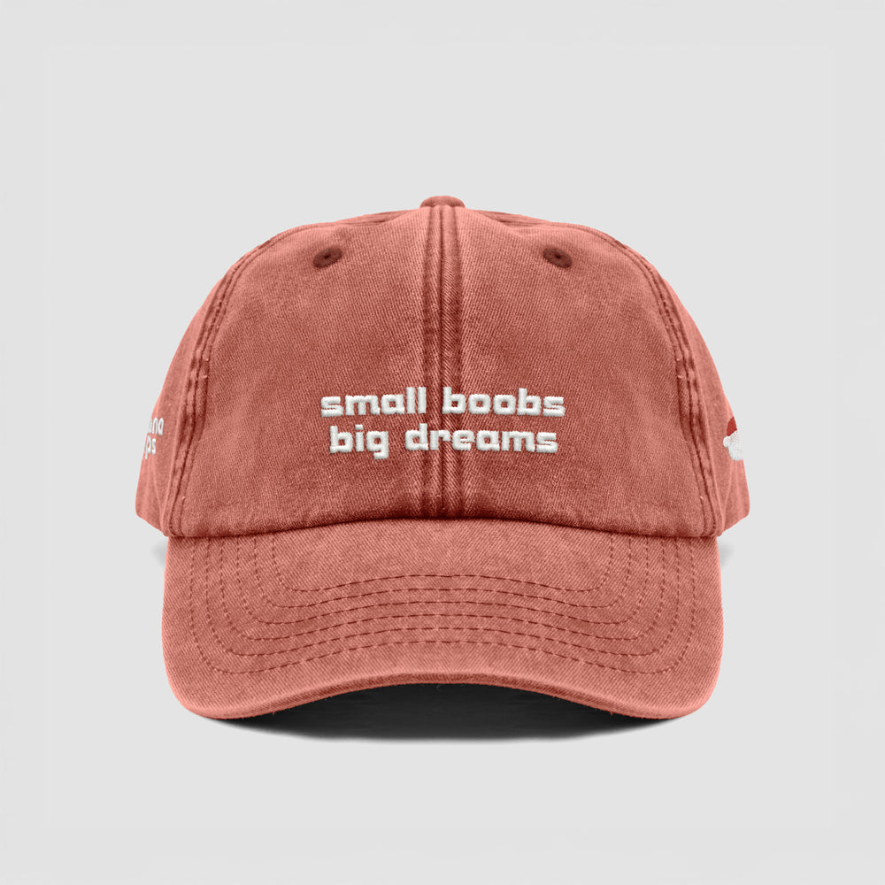 Cappellino vintage ''Small boobs big dreams''