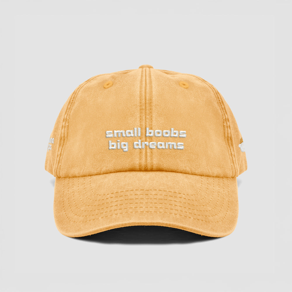 Cappellino vintage ''Small boobs big dreams''