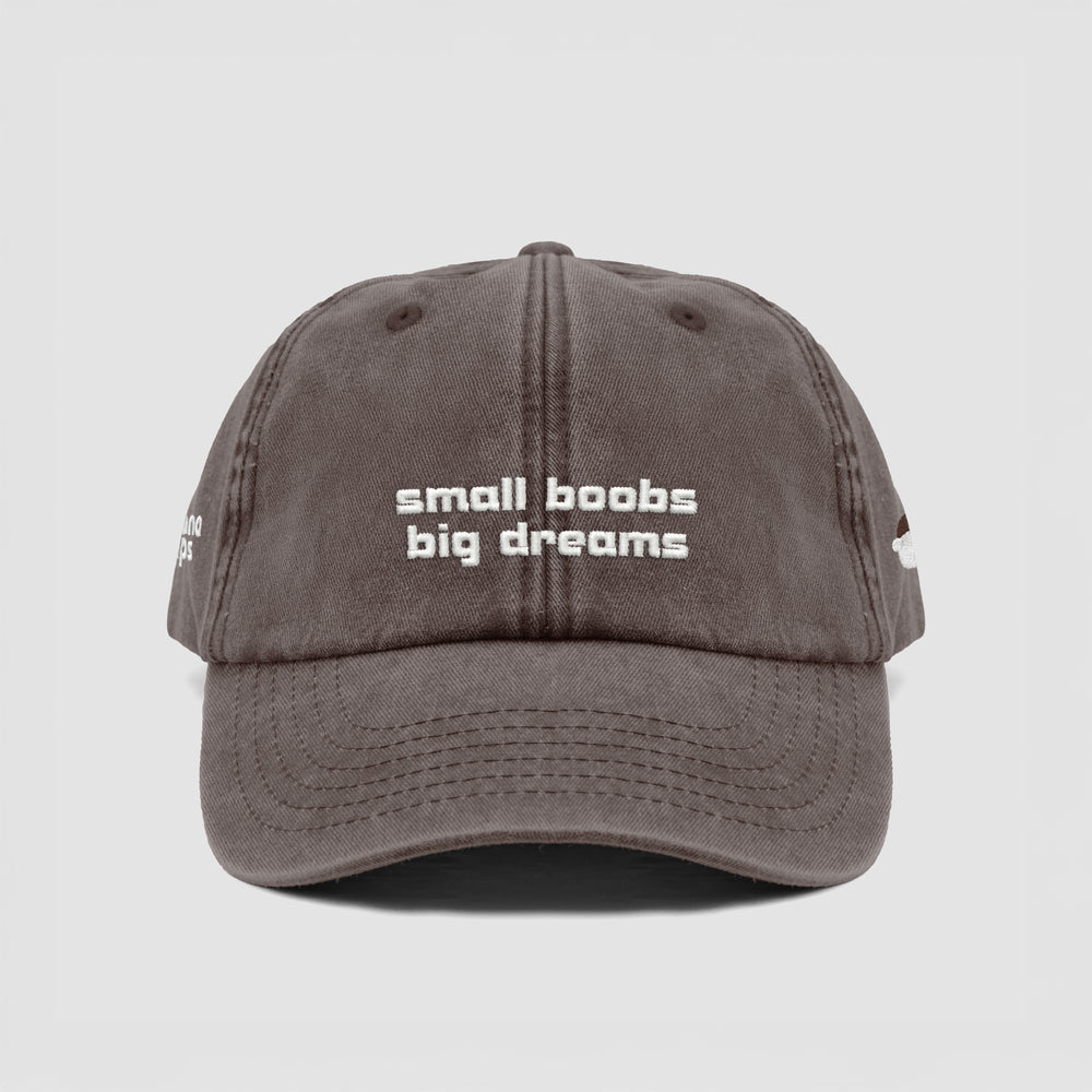 Cappellino vintage ''Small boobs big dreams''