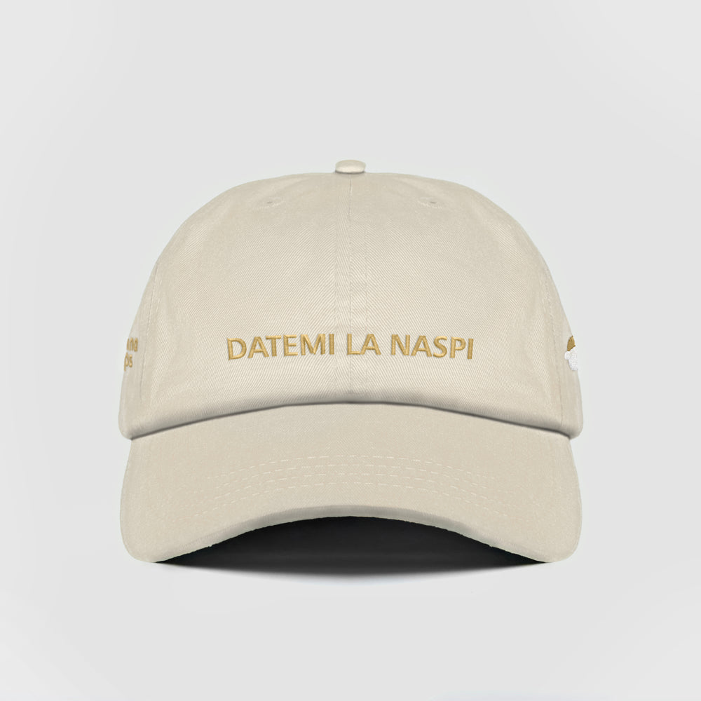 Cappellino ''DATEMI LA NASPI''