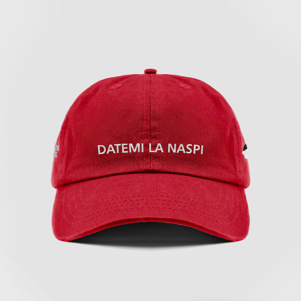 Cappellino ''DATEMI LA NASPI''