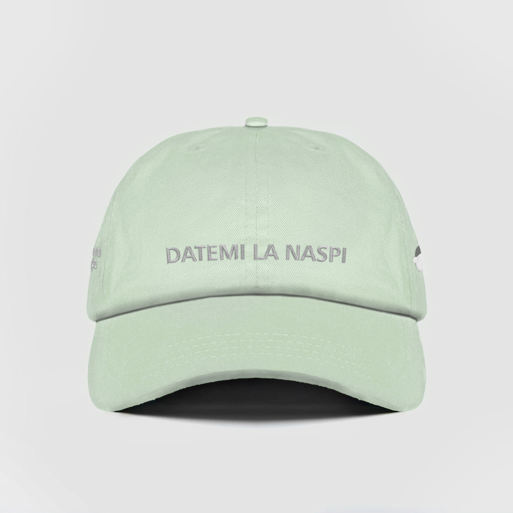 Cappellino ''DATEMI LA NASPI''